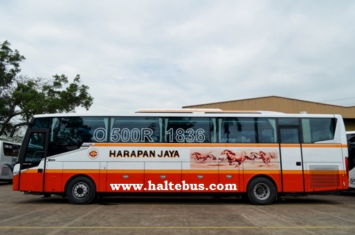 Transformasi Scorpion di Tahun 2013